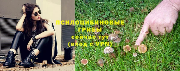 соль ск Арсеньев