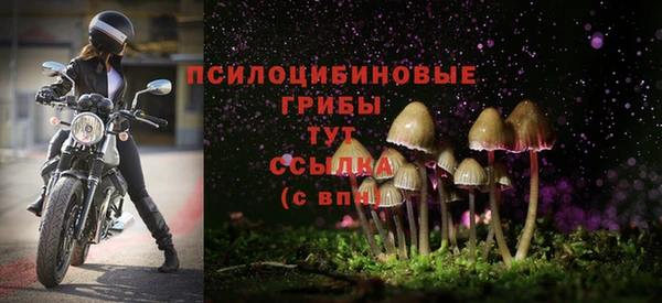 амфетамин Аркадак