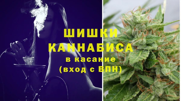 ECSTASY Армянск